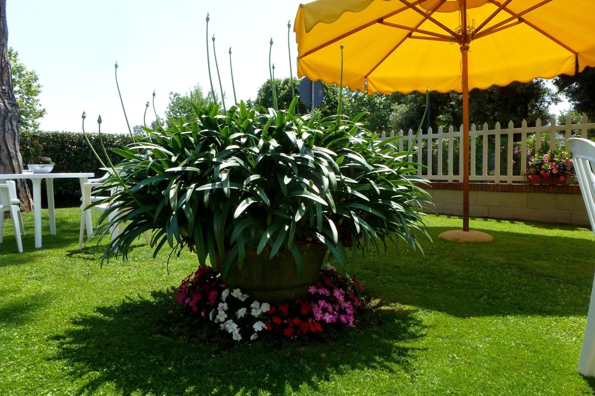 Hotel Versilia Lido di Camaiore Eksteriør bilde