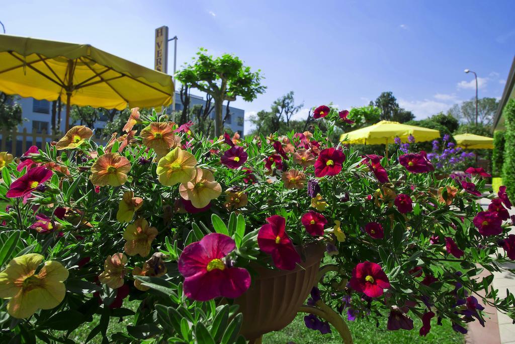 Hotel Versilia Lido di Camaiore Eksteriør bilde